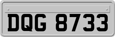 DQG8733