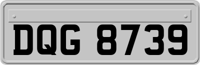 DQG8739