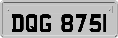 DQG8751