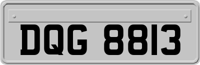 DQG8813