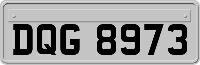 DQG8973