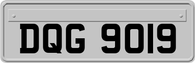 DQG9019