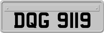 DQG9119