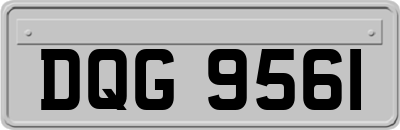 DQG9561