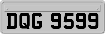 DQG9599