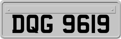 DQG9619