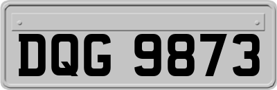 DQG9873