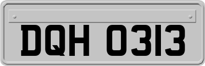 DQH0313