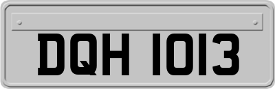 DQH1013