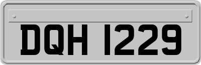 DQH1229