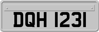 DQH1231