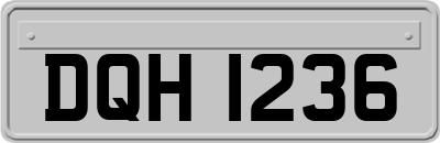DQH1236