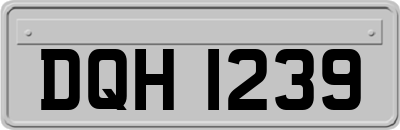 DQH1239