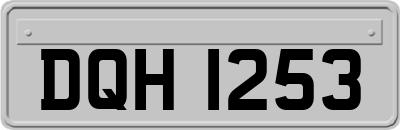 DQH1253