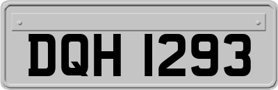 DQH1293