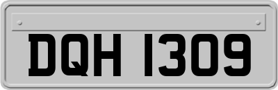 DQH1309