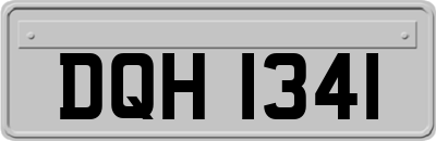 DQH1341