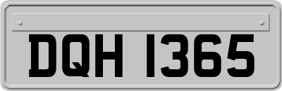 DQH1365