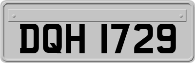 DQH1729