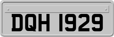 DQH1929
