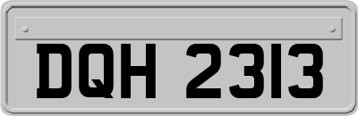 DQH2313
