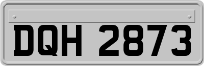 DQH2873