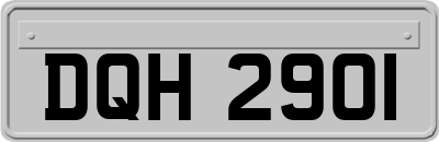 DQH2901