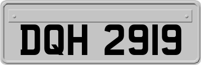 DQH2919