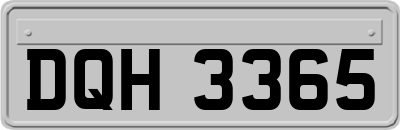DQH3365