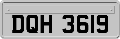 DQH3619