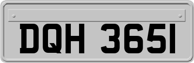 DQH3651