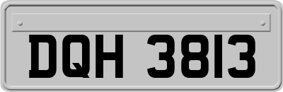 DQH3813