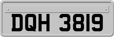 DQH3819