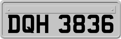 DQH3836