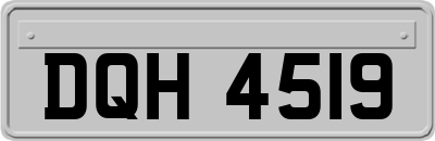 DQH4519