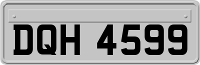 DQH4599