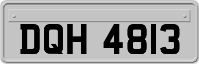 DQH4813