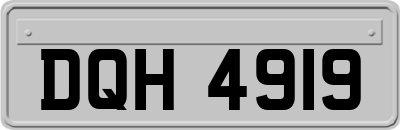 DQH4919