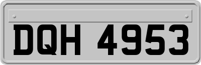 DQH4953