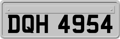 DQH4954