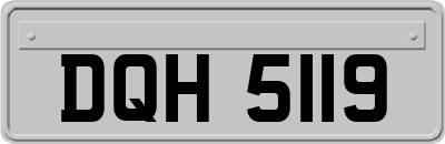 DQH5119