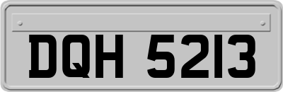 DQH5213