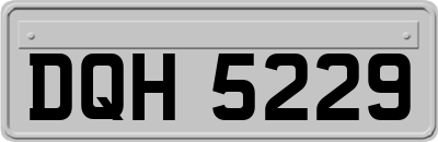 DQH5229