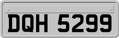 DQH5299