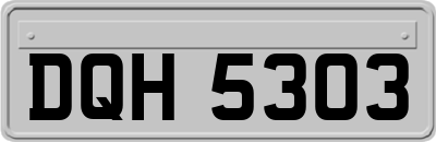 DQH5303