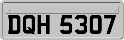 DQH5307