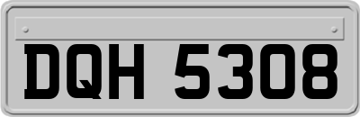 DQH5308