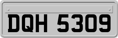 DQH5309