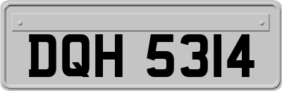 DQH5314