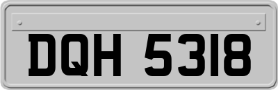 DQH5318